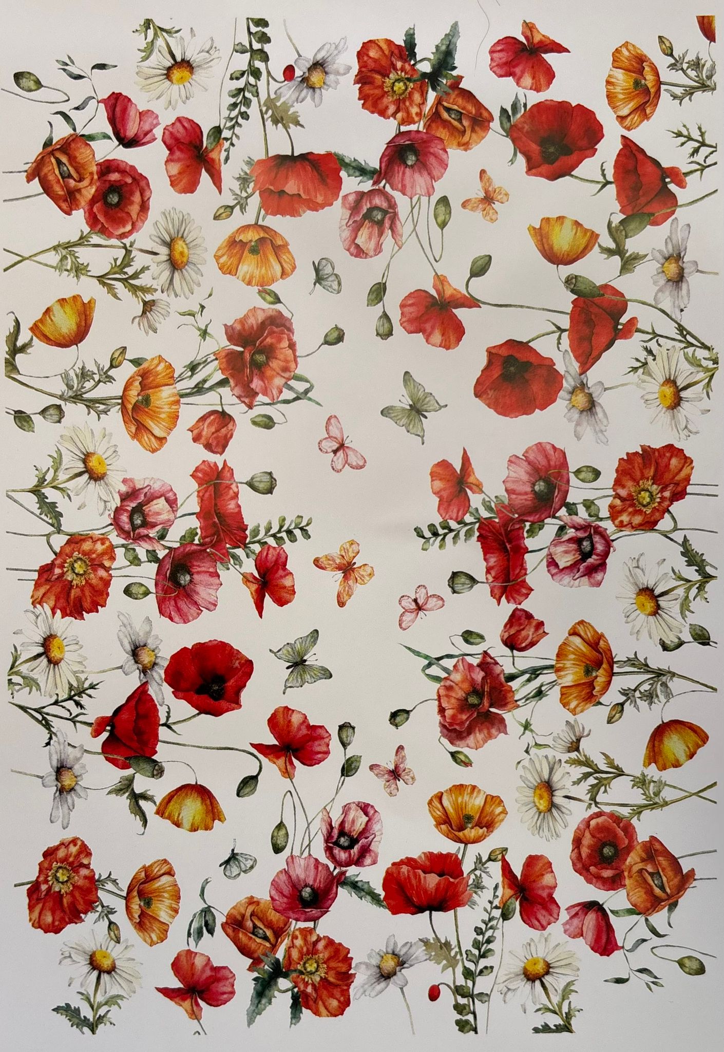 Tovaglia in Cotone Stampa Digitale Papaveri