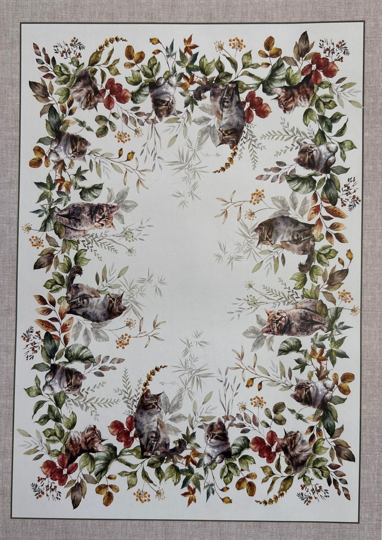 Tovaglia in Cotone Stampa Digitale Cats