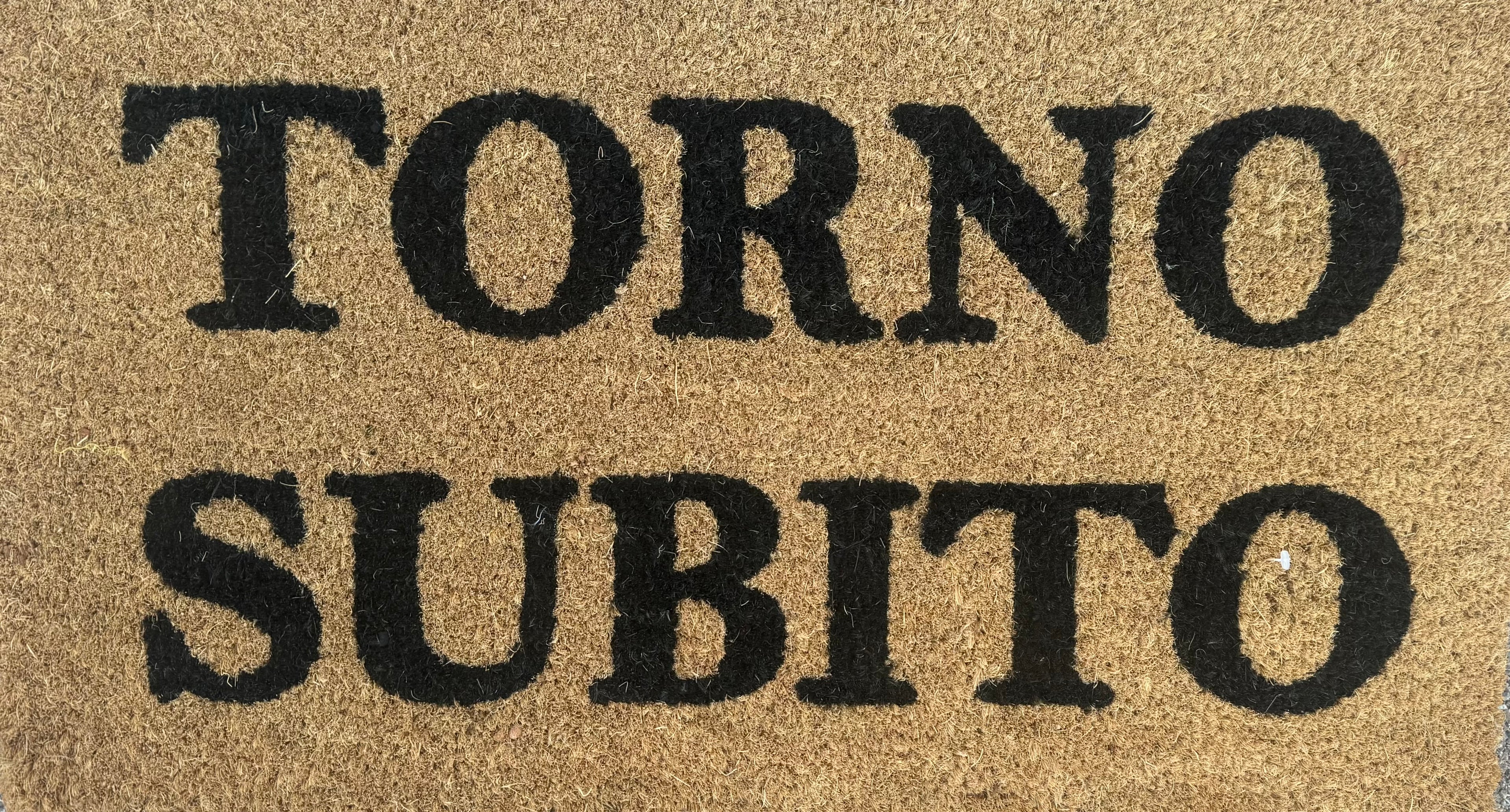 Zerbino in Cocco  "Torno Subito"