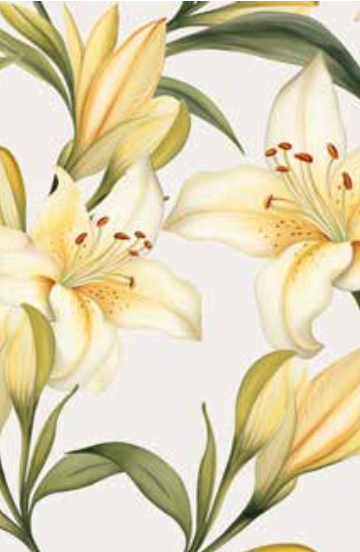 Completo Lenzuolo Copriletto in Cotone LOWY