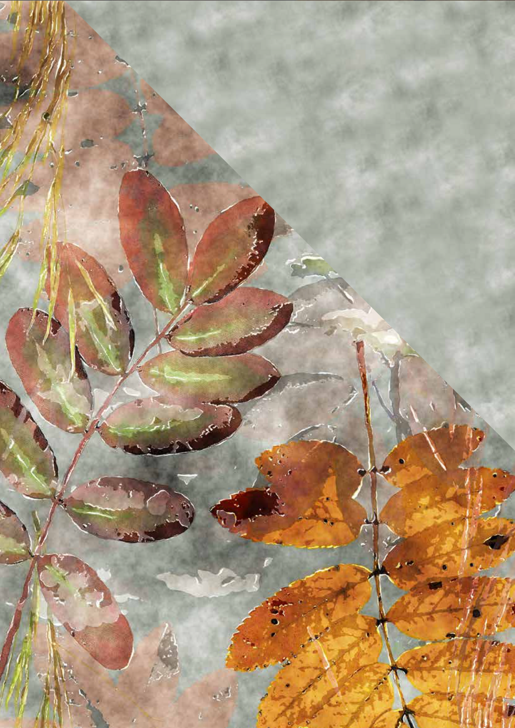 Completo Letto/Copripiumino in Cotone FOLHA