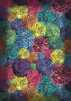 Tappeto Sala/Camera Modello Edmond Made in Italy